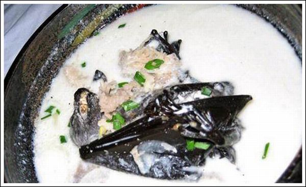 Delicious Bat Soup (11 pics)