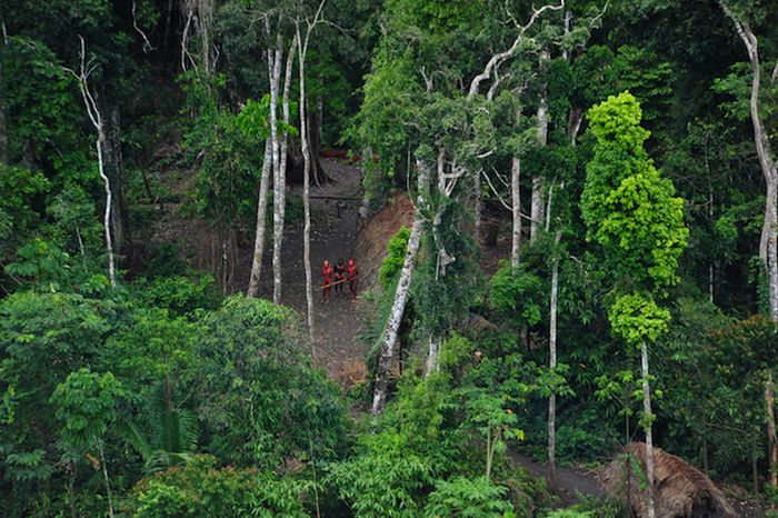 Unknown, Uncontacted Tribe from Brazil (6 pics)