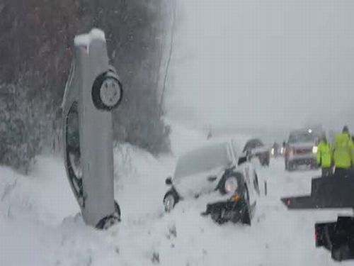 Car Noseplants In the Snow