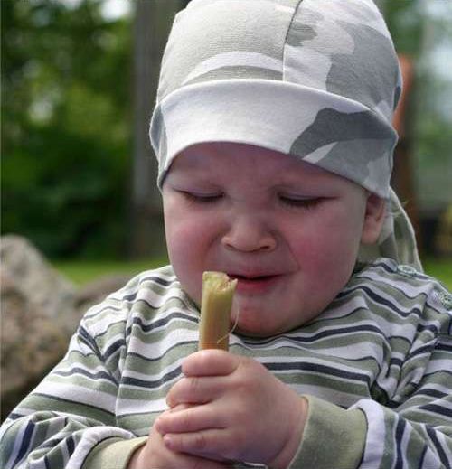 Baby Tries Rhubarb for Very First Time (6 pics)