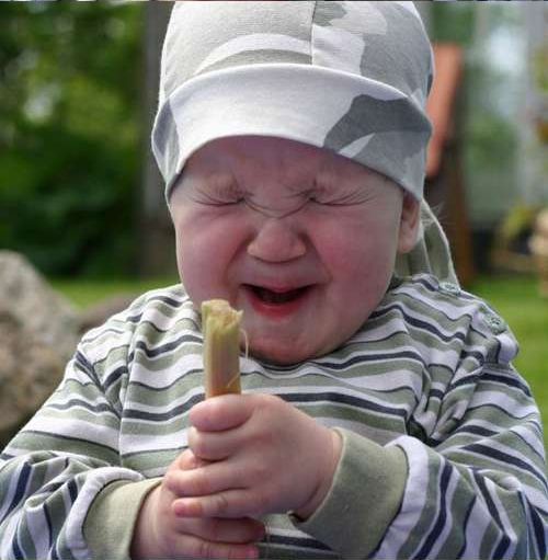 Baby Tries Rhubarb for Very First Time (6 pics)