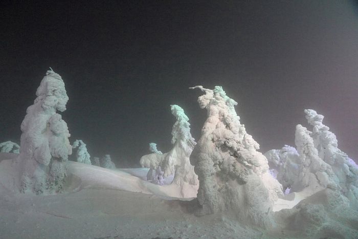 "Snow Monsters" of Japan (25 pics)