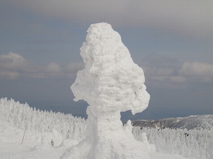 "Snow Monsters" of Japan (25 pics)