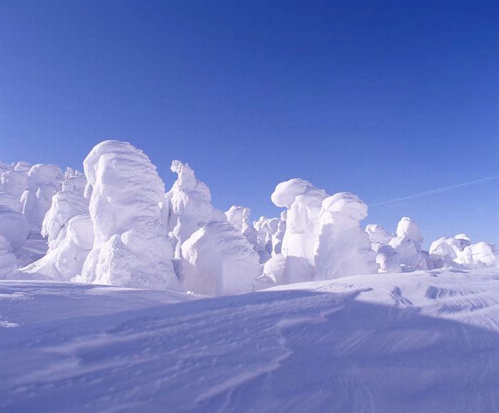 "Snow Monsters" of Japan (25 pics)