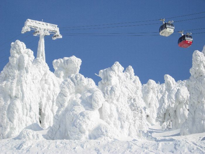 "Snow Monsters" of Japan (25 pics)