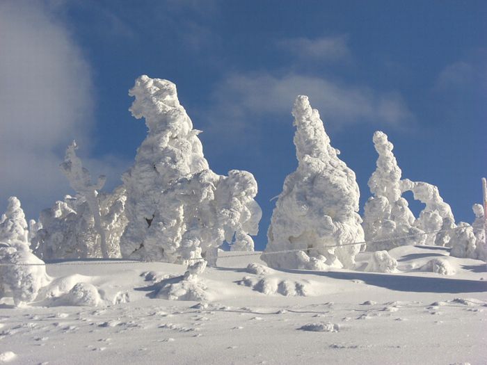 "Snow Monsters" of Japan (25 pics)