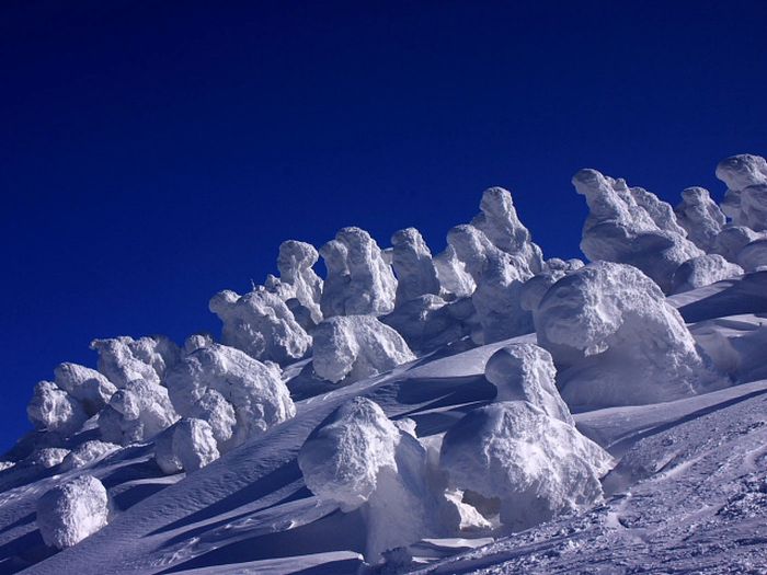 "Snow Monsters" of Japan (25 pics)