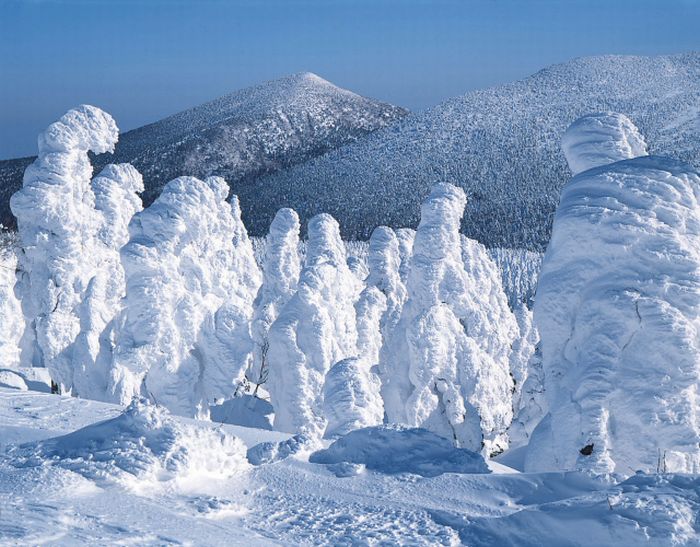 "Snow Monsters" of Japan (25 pics)