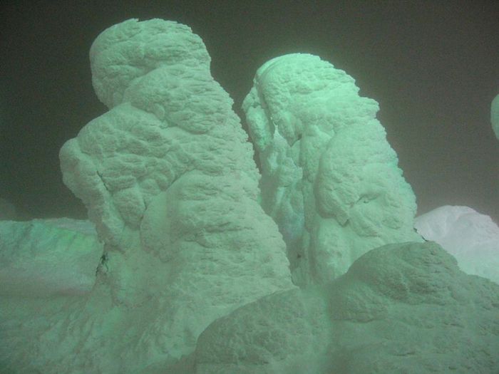 "Snow Monsters" of Japan (25 pics)