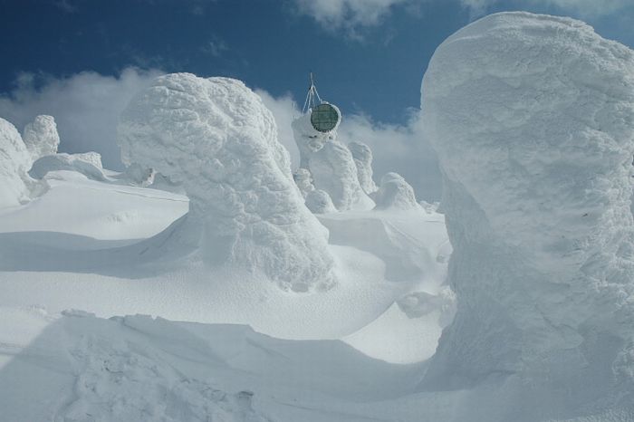 "Snow Monsters" of Japan (25 pics)