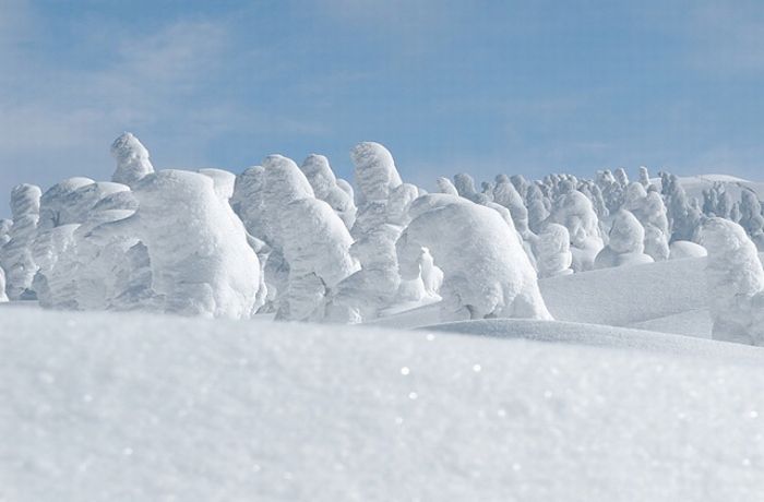 "Snow Monsters" of Japan (25 pics)