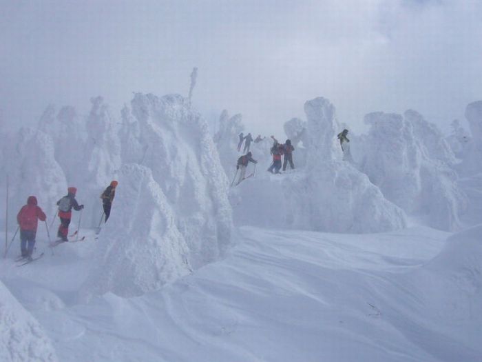 "Snow Monsters" of Japan (25 pics)