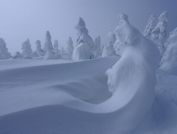 "Snow Monsters" of Japan (25 pics)