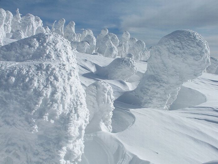 "Snow Monsters" of Japan (25 pics)