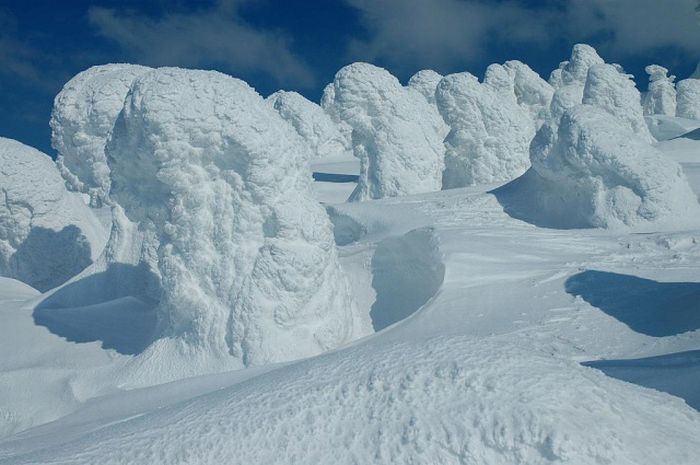 "Snow Monsters" of Japan (25 pics)