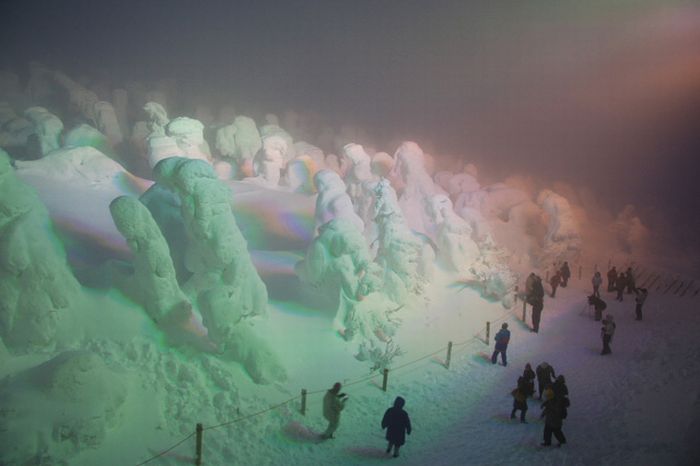 "Snow Monsters" of Japan (25 pics)