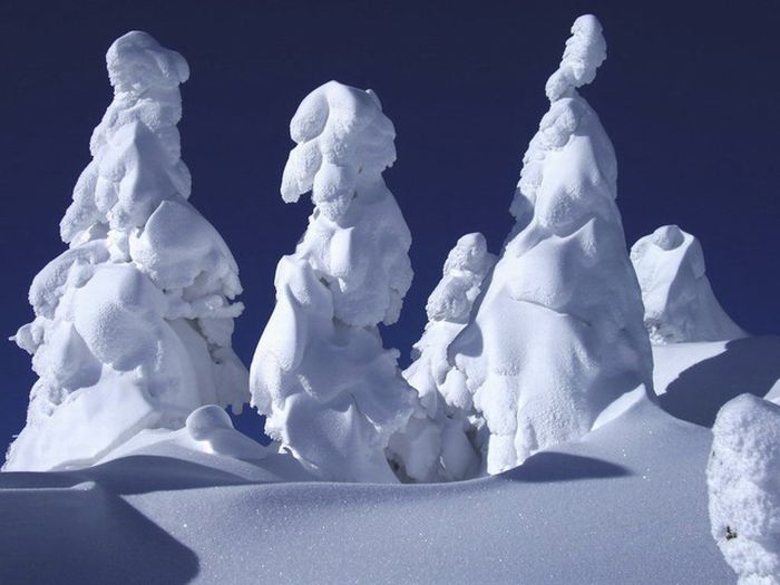 "Snow Monsters" of Japan (25 pics)