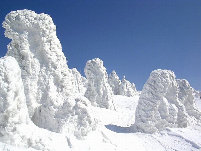 "Snow Monsters" of Japan (25 pics)