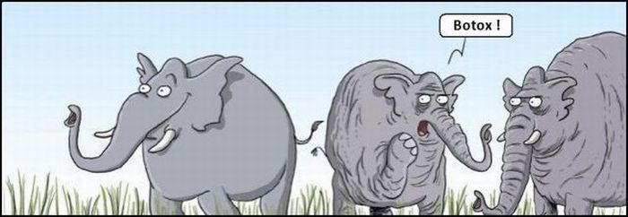Funny Cartoons (37 pics)
