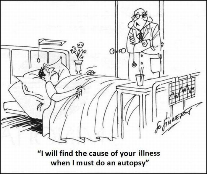 Funny Cartoons (37 pics)