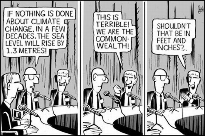 Funny Cartoons (37 pics)