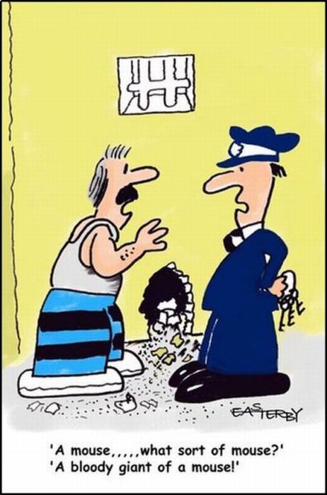 Funny Cartoons (37 pics)