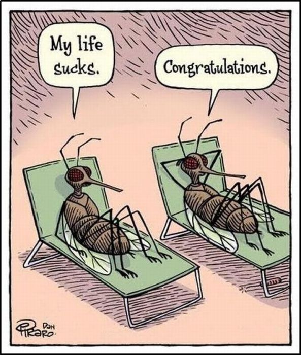 Funny Cartoons (37 pics)