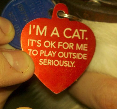 Acid Picdump (92 pics)