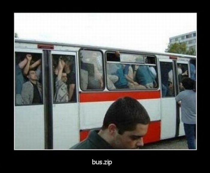 Acid Picdump (92 pics)