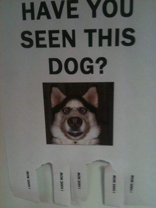 Acid Picdump (92 pics)