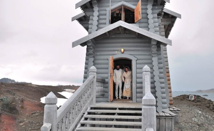 Polar Wedding (11 pics)