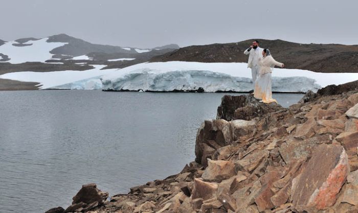 Polar Wedding (11 pics)