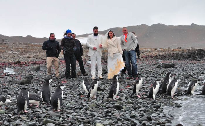 Polar Wedding (11 pics)