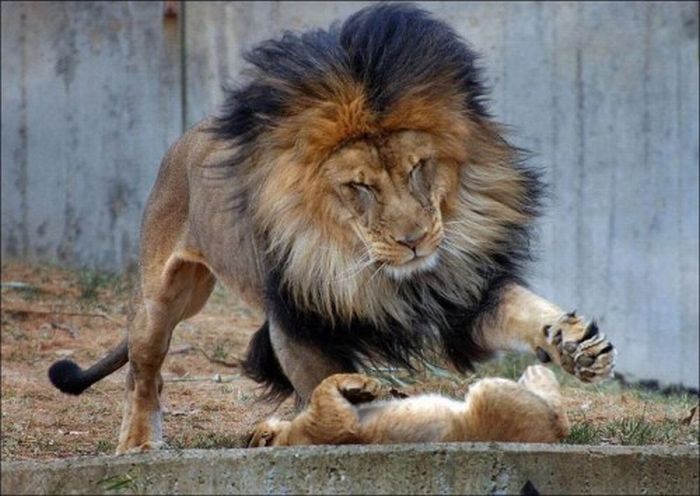 Family Matters (3 pics)