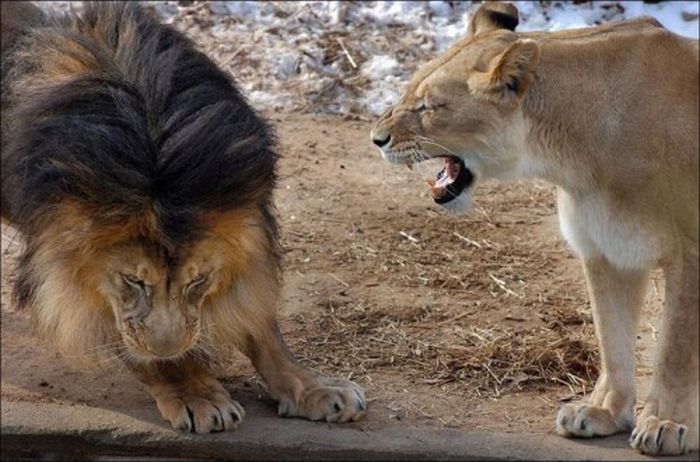 Family Matters (3 pics)