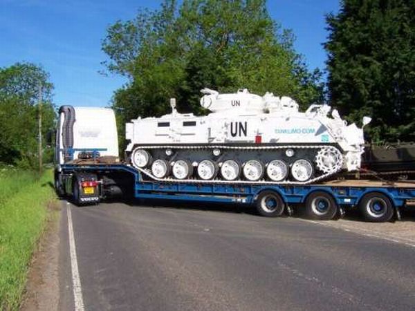 Wedding Tank (18 pics)