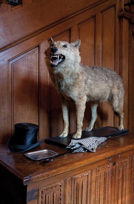 The French House Untouched for 100 Years (10 pics)