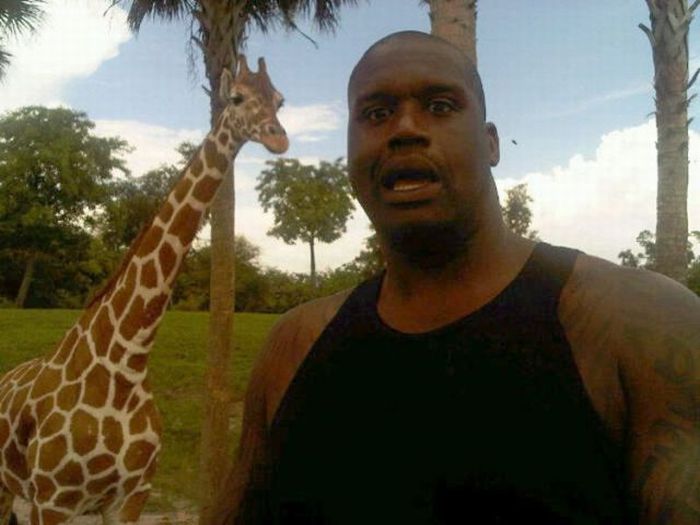 Twitpics Tweeted by Celebrities (75 pics)