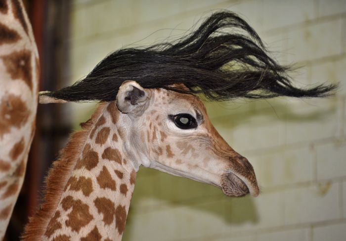 Acid Picdump (115 pics)