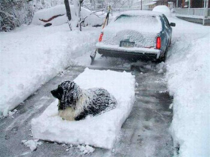 Acid Picdump (115 pics)