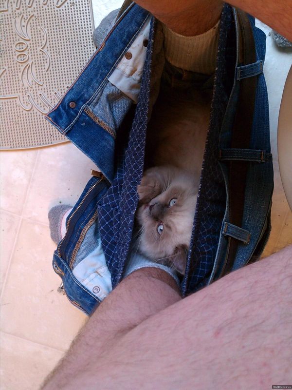Acid Picdump (115 pics)