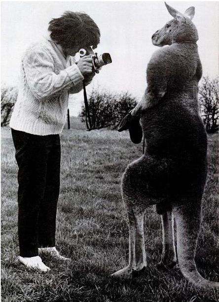 Acid Picdump (115 pics)