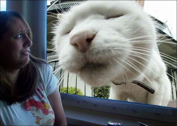 Acid Picdump (115 pics)