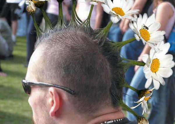 Hilarious Haircuts (36 pics)