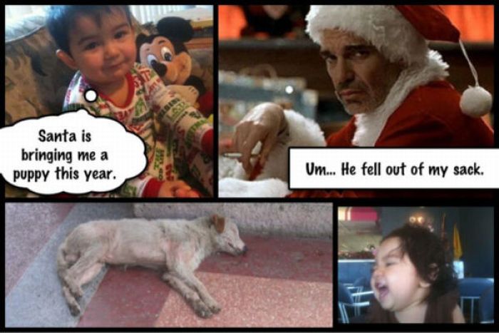 Cruel Little Girl (14 pics)