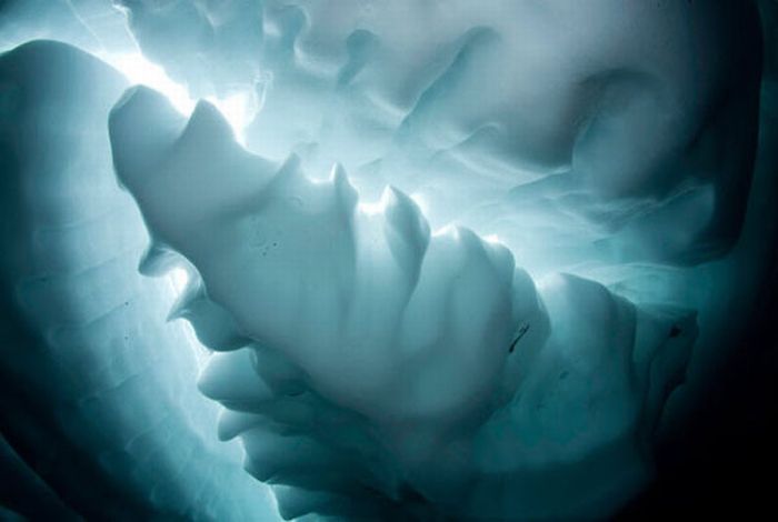 Ice Diving (15 pics)