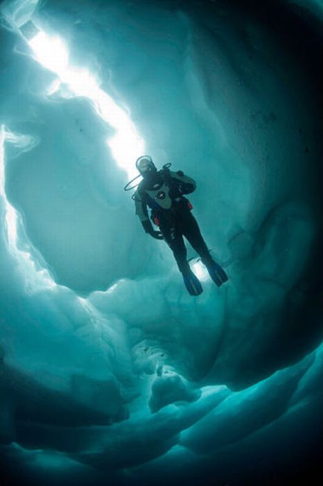 Ice Diving (15 pics)