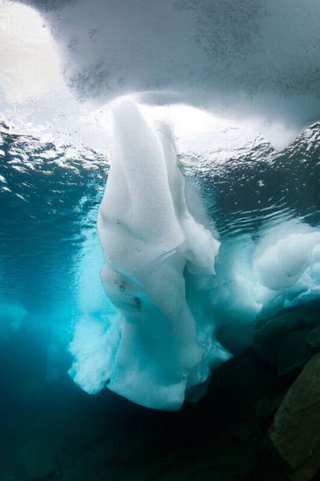 Ice Diving (15 pics)