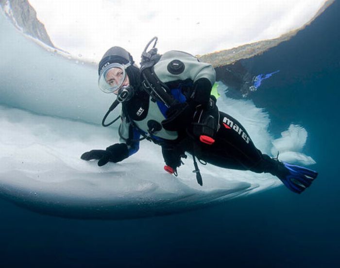 Ice Diving (15 pics)