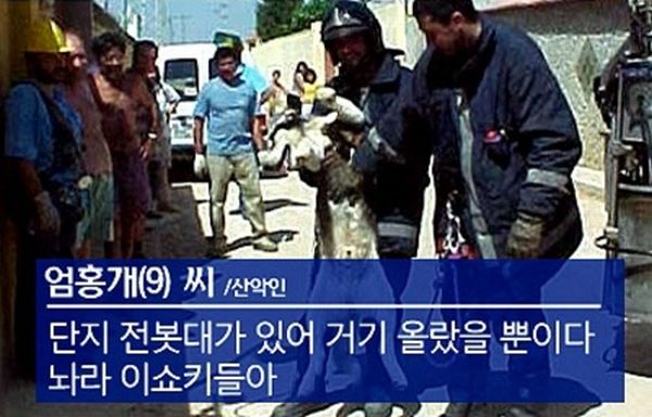 Dog Rescue Operation (6 pics)